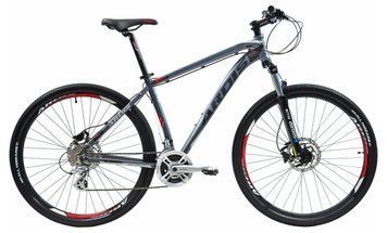 Велосипед ARDIS TITAN 29" рама 19" HDB Серый 3143900590 фото